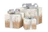 3 Piece Christmas Present Display Set with Lights- Champagne Finish