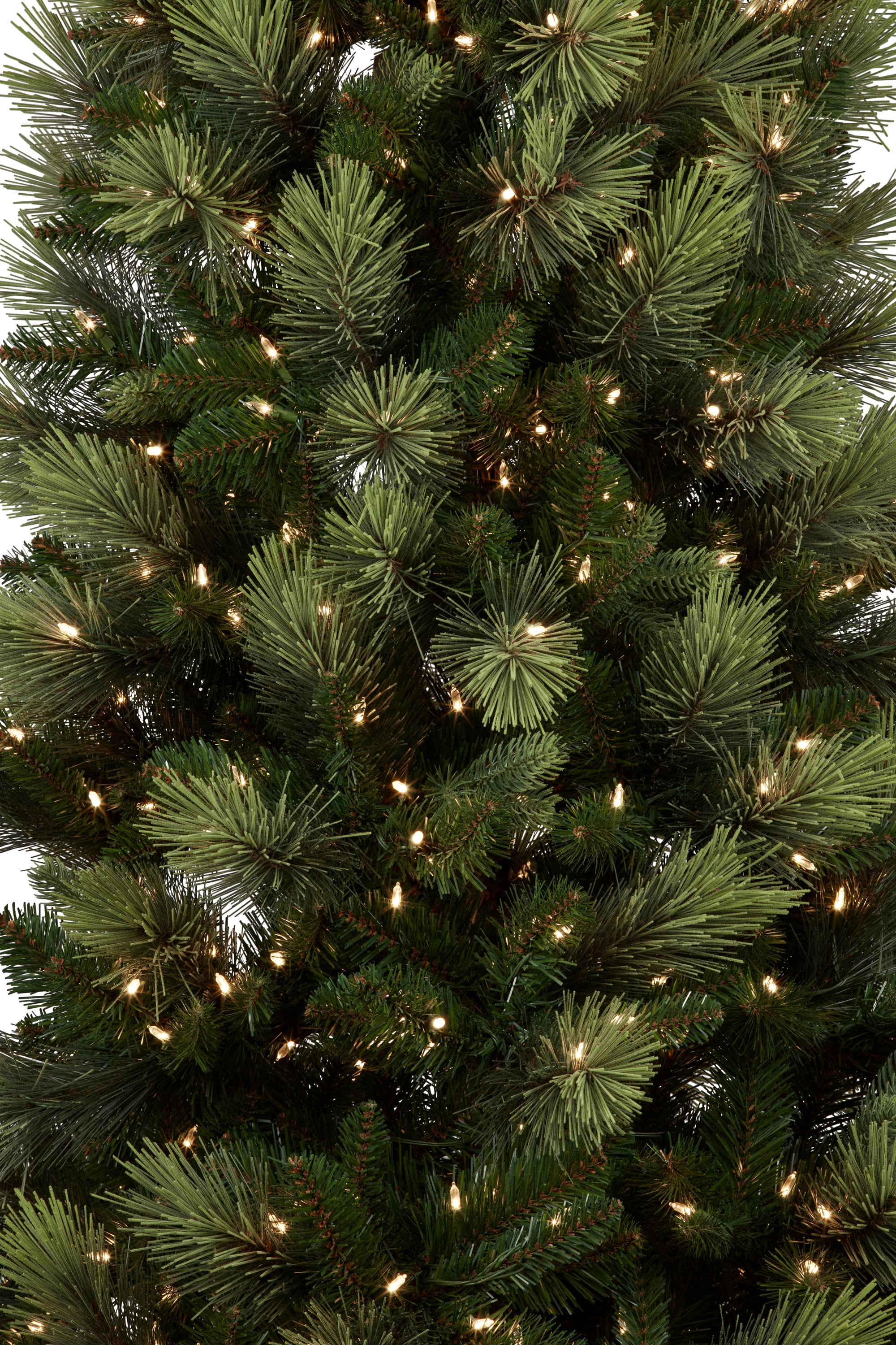 2.3M Christmas Tree with Lights Carolina Pine