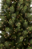 2.3M Christmas Tree with Lights Carolina Pine