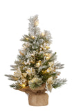 61cm Christmas Tree with Lights- Potted Frosted Colonial