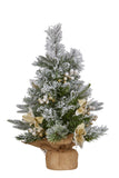 61cm Christmas Tree with Lights- Potted Frosted Colonial