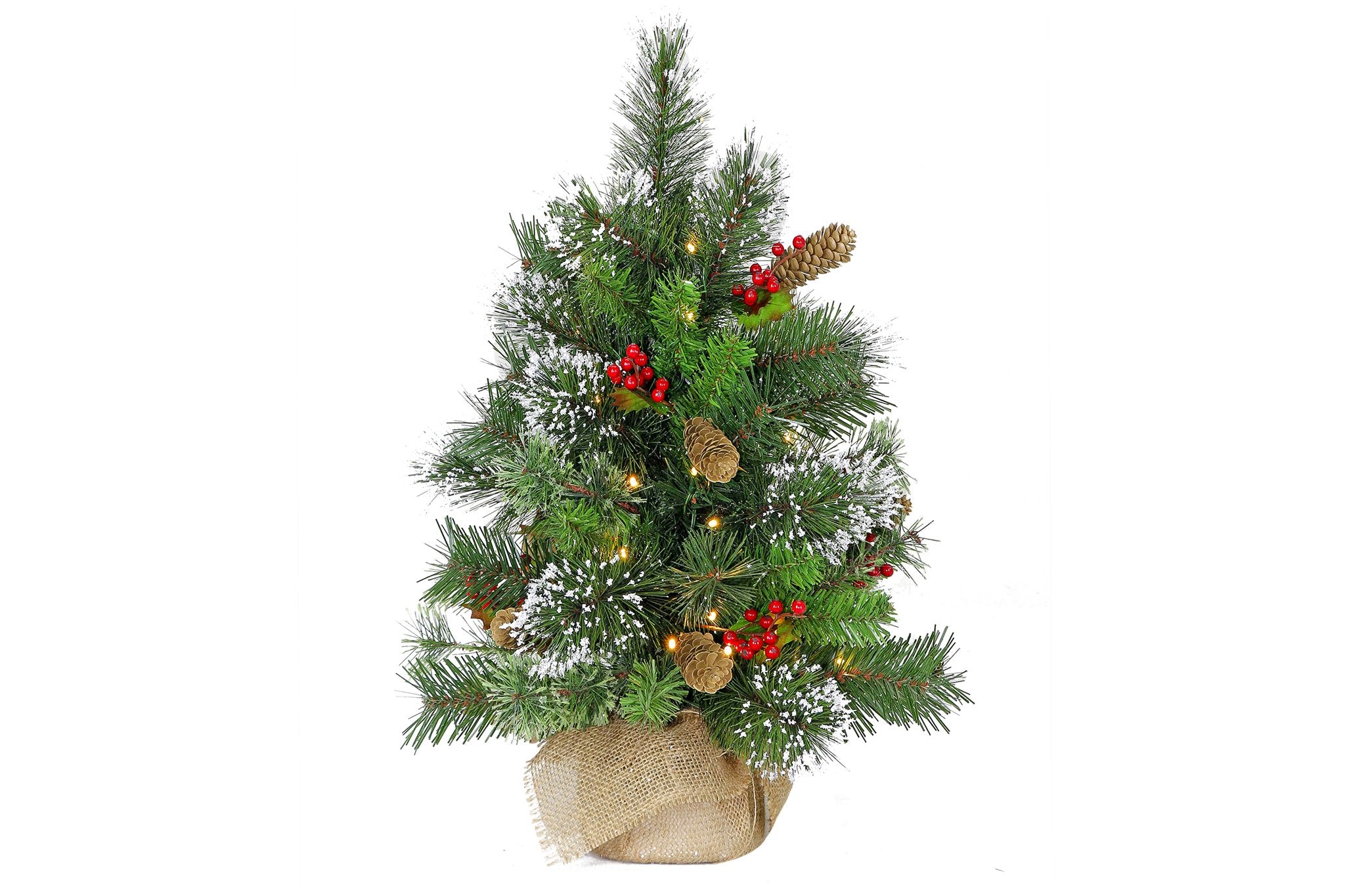 2ft Christmas Tree with Lights- Potted Wintry Pine