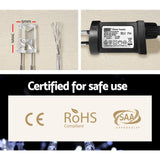 100m Christmas LED String - White Lights 500 Bulbs